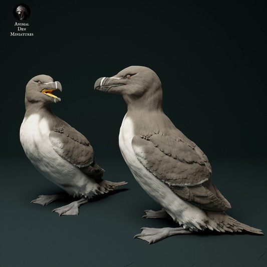 Razorbills - UNPAINTED - Animal Den Miniatures