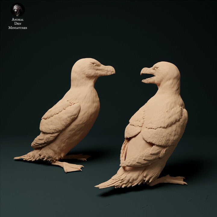 Razorbills - UNPAINTED - Animal Den Miniatures