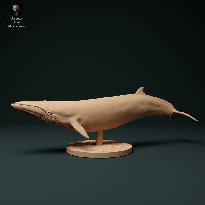 Minke Whale - UNPAINTED - Animal Den Miniatures