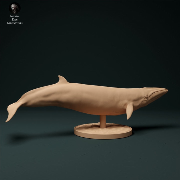 Minke Whale - UNPAINTED - Animal Den Miniatures