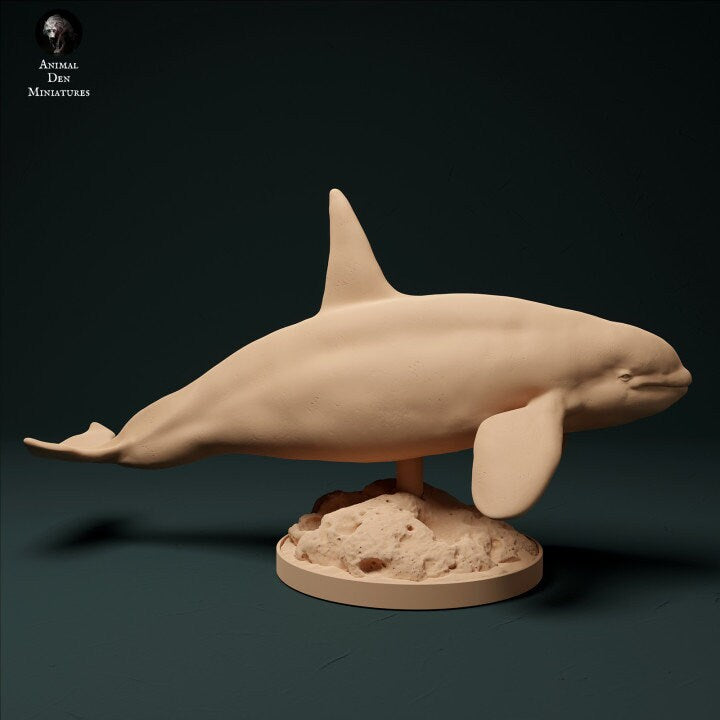 Orca - UNPAINTED - Animal Den Miniatures