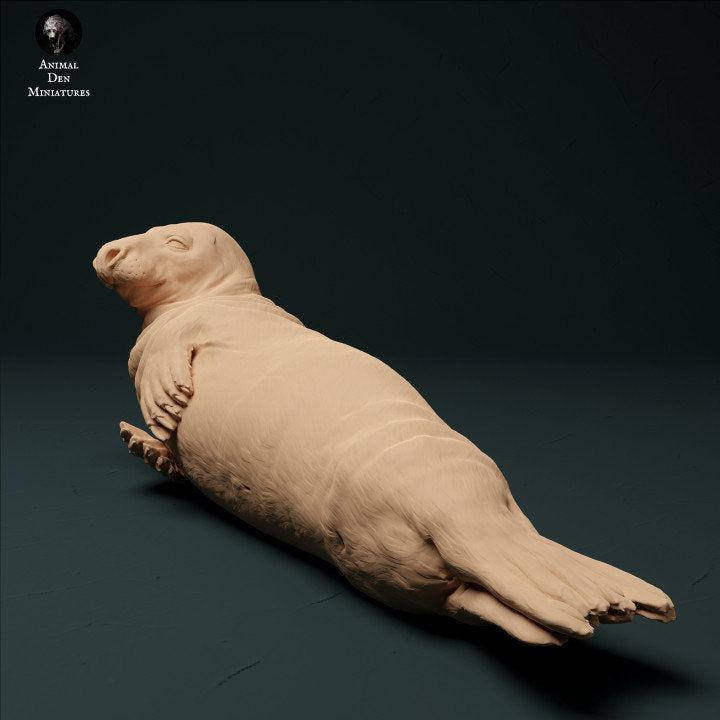 Grey Seal Male - UNPAINTED - Animal Den Miniatures