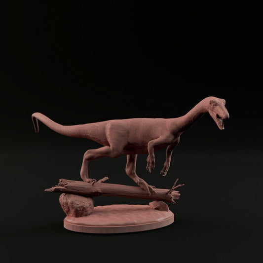 Coelophysis - Dino and Dog Miniatures
