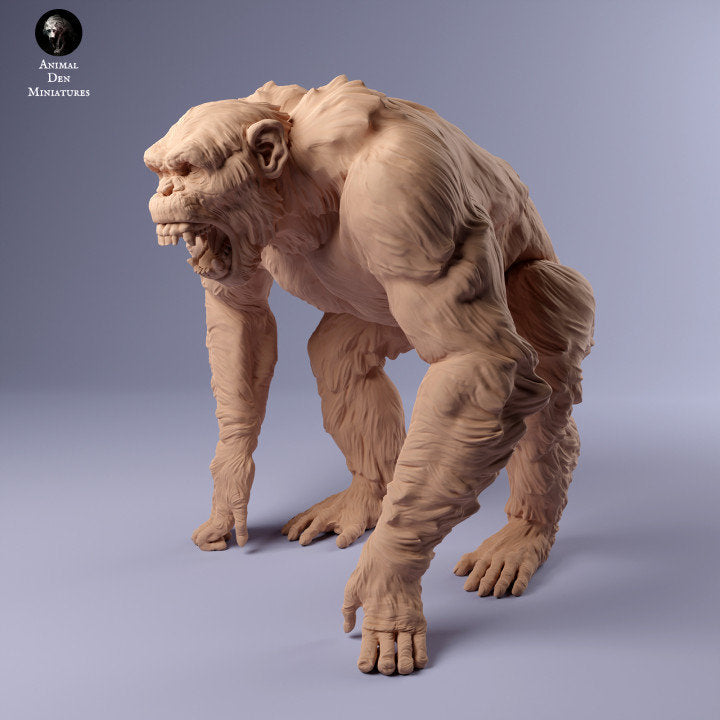 Common Chimpanzee Angry - UNPAINTED - Animal Den Miniatures