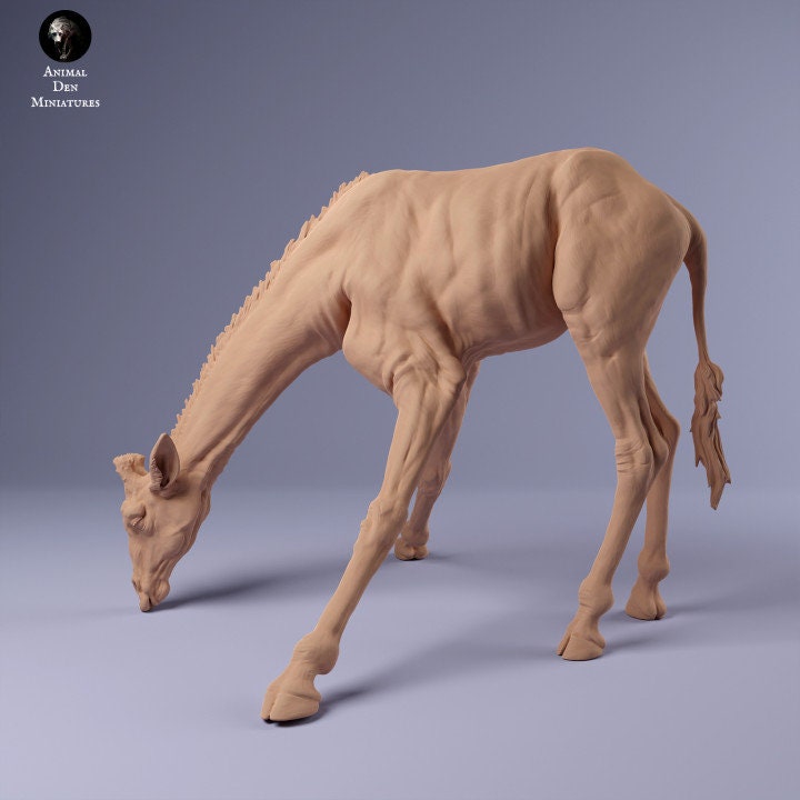 Rothschild's Giraffe Drinking - UNPAINTED - Animal Den Miniatures