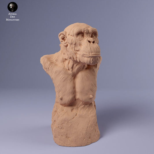 Chimpanzee Bust - UNPAINTED - Animal Den Miniatures