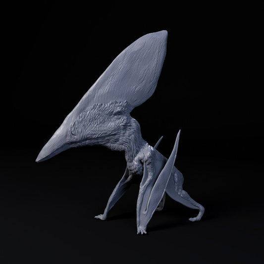 Thalassodromeus - Dino and Dog Miniatures