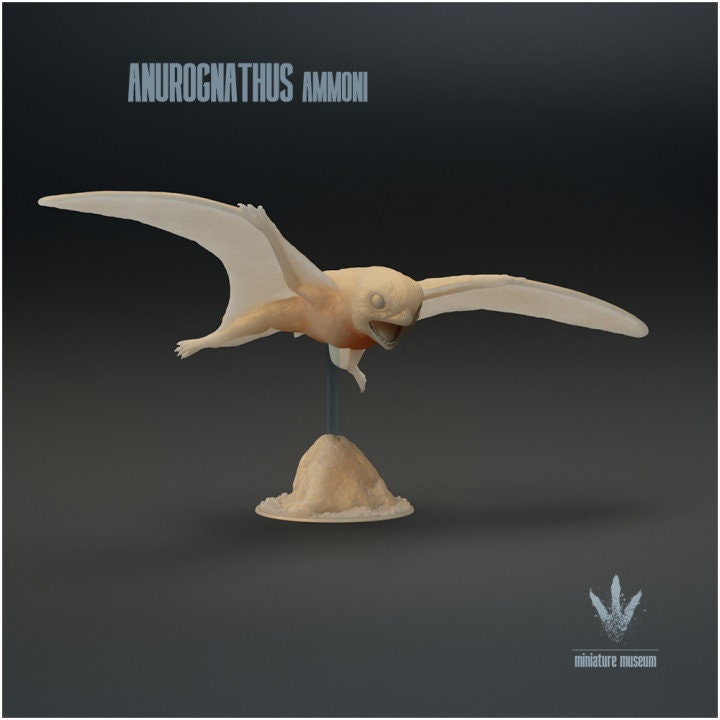 Anurognathus Ammoni Flying - UNPAINTED - Miniature Museum