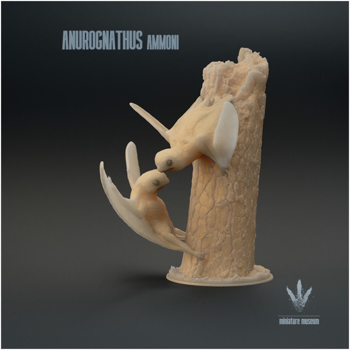 Anurognathus Ammoni Couple - UNPAINTED - Miniature Museum