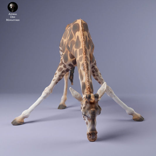 Rothschild's Giraffe Drinking - UNPAINTED - Animal Den Miniatures