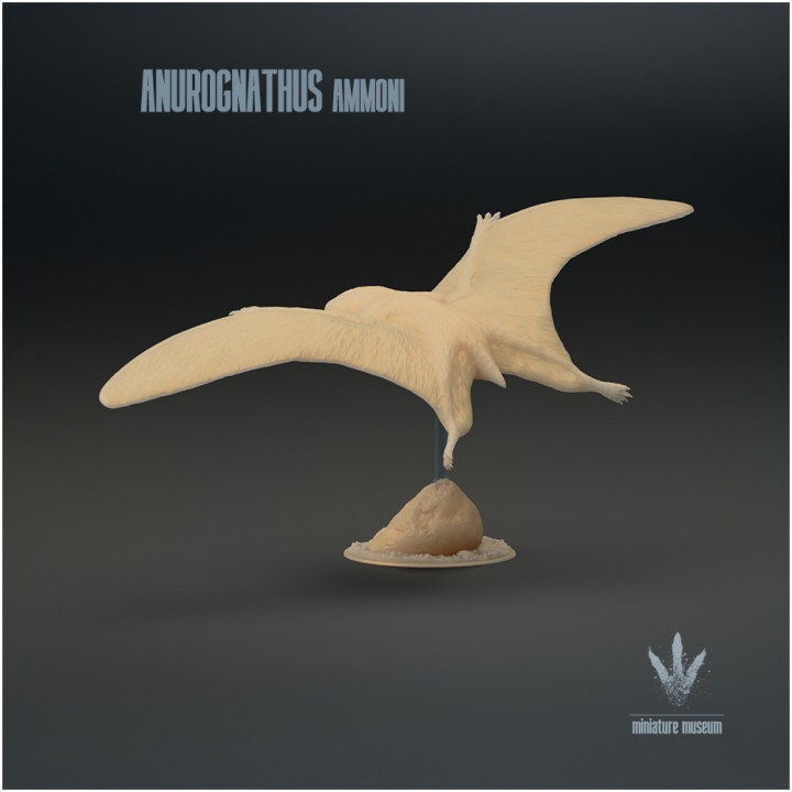 Anurognathus Ammoni Flying - UNPAINTED - Miniature Museum