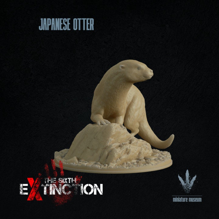 Japanese otter : Lutra nippon - UNPAINTED - Miniature Museum