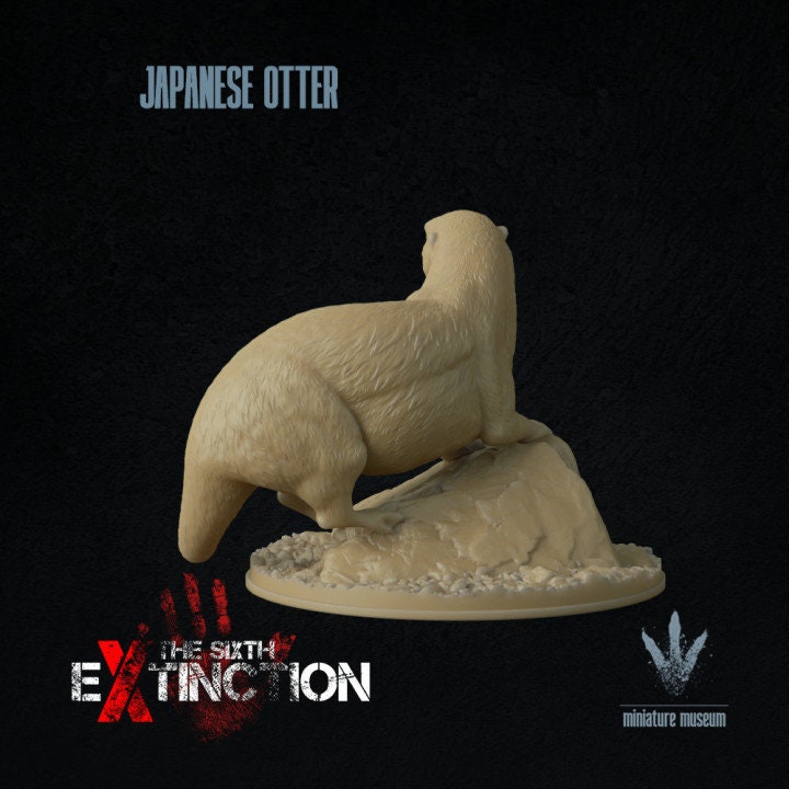 Japanese otter : Lutra nippon - UNPAINTED - Miniature Museum