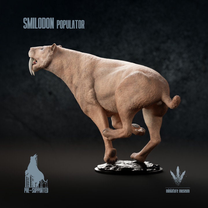 Smilodon populator - UNPAINTED - Miniature Museum
