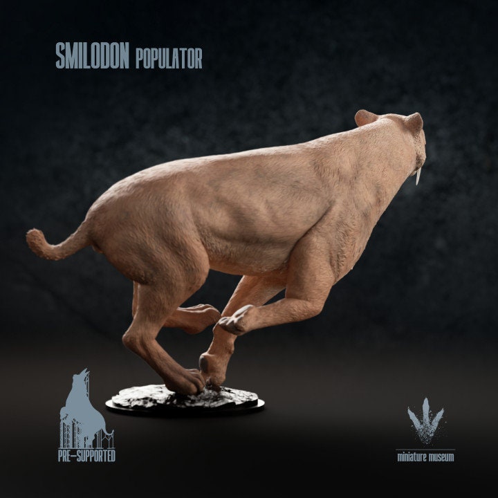 Smilodon populator - UNPAINTED - Miniature Museum