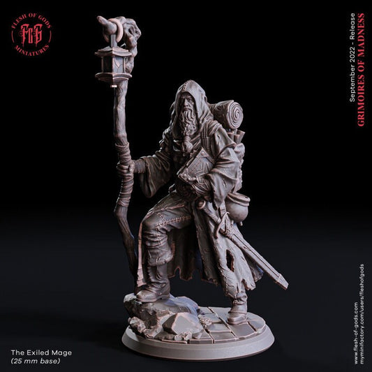 The Exiled Mage - Flesh of Gods