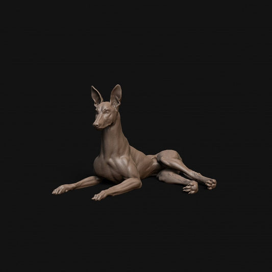 Pharaoh Hound dog laying down- Dino and Dog Miniatures