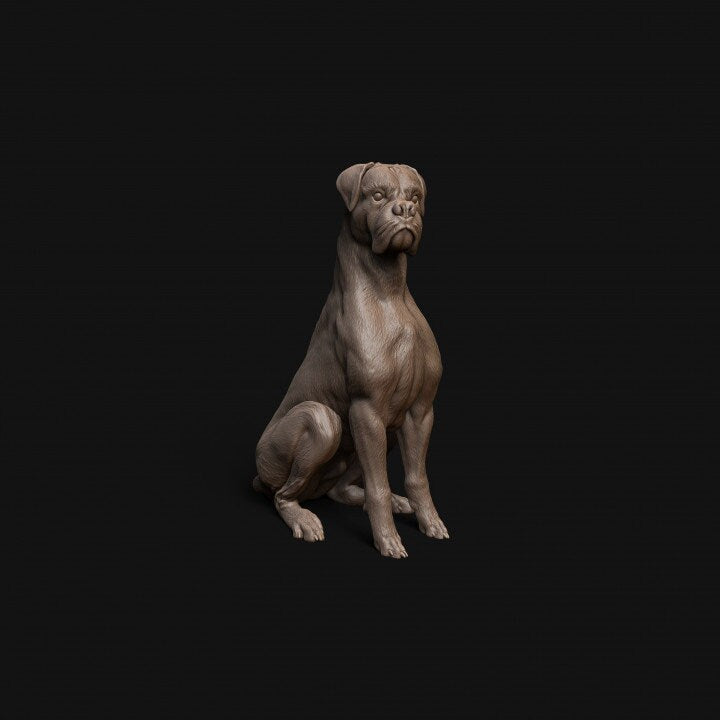 Boxer dog sitting - Dino and Dog Miniatures