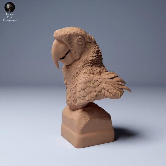 Scarlet Macaw (Ara macao) Bust - UNPAINTED - Animal Den Miniatures