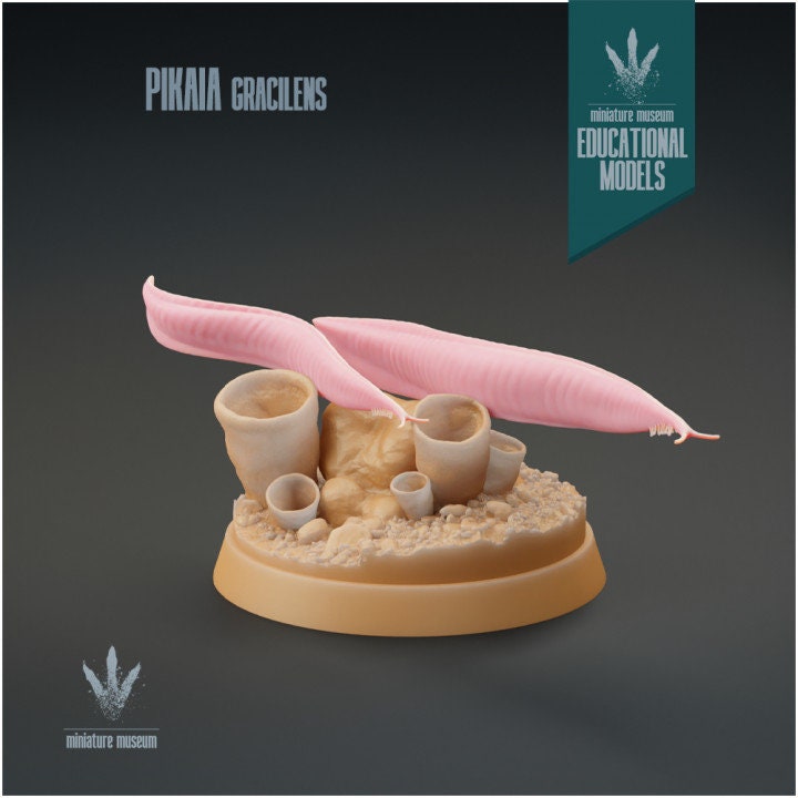 Pikaia gracilens - UNPAINTED - Miniature Museum