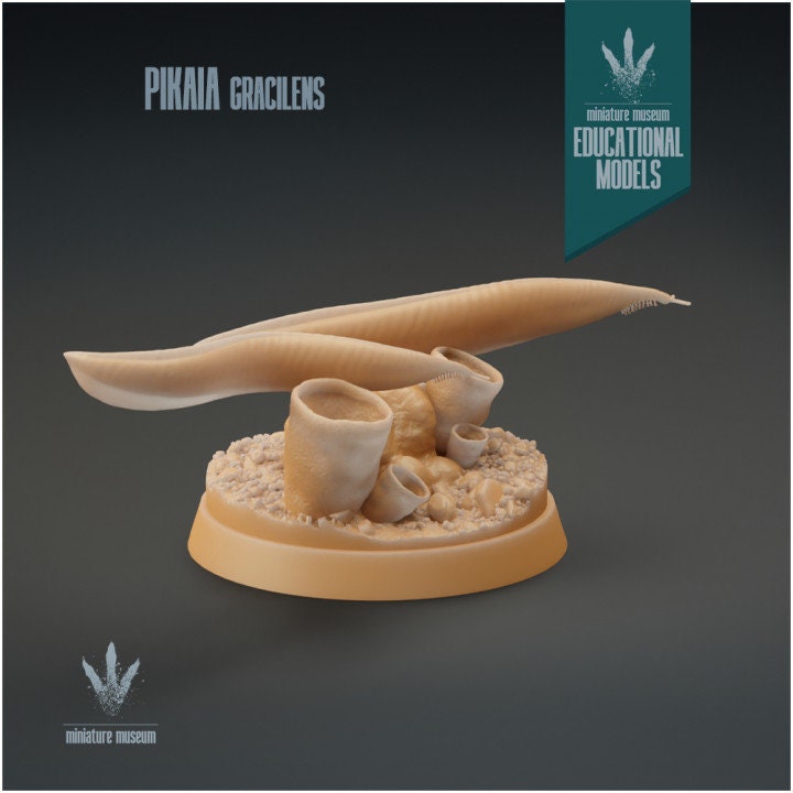 Pikaia gracilens - UNPAINTED - Miniature Museum