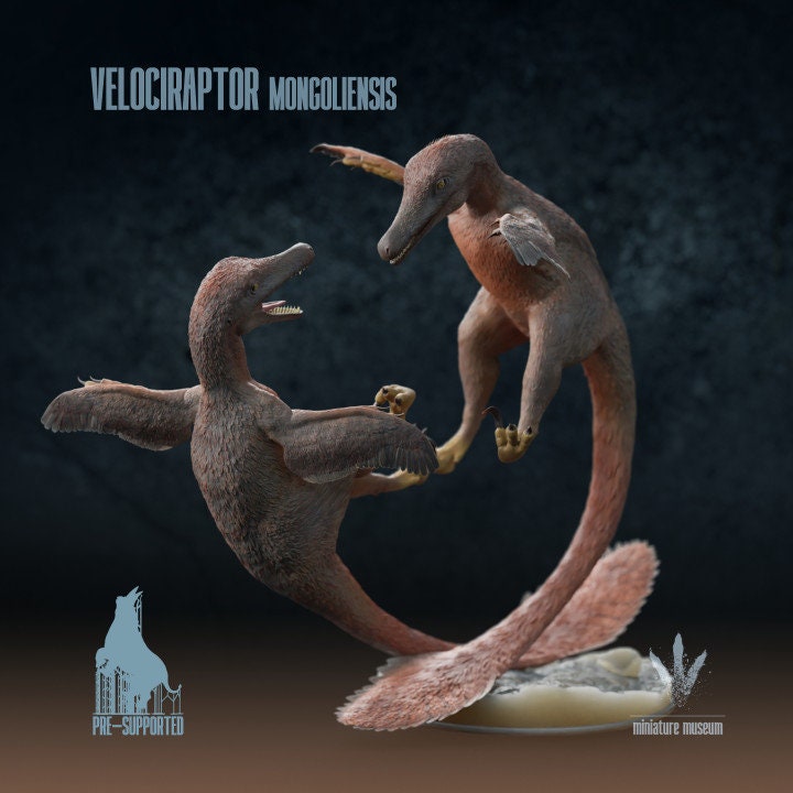 Velociraptor mongoliensis : Fighting - UNPAINTED - Miniature Museum