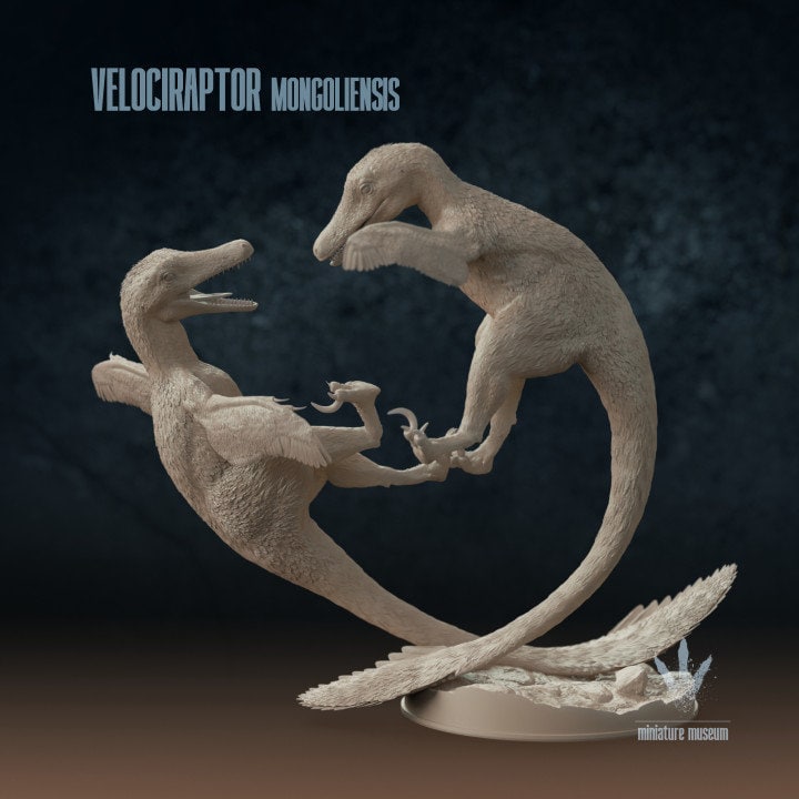 Velociraptor mongoliensis : Fighting - UNPAINTED - Miniature Museum