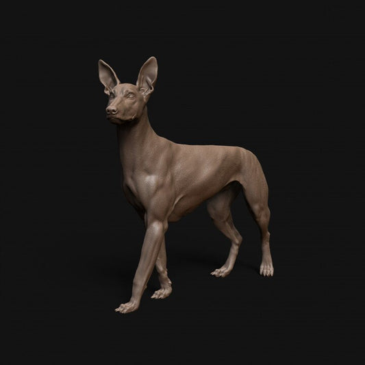 Pharaoh Hound dog - Dino and Dog Miniatures