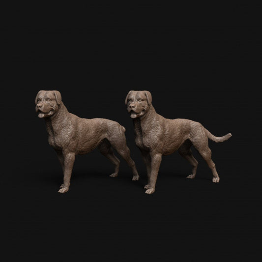 Rottweiler dog standing - Dino and Dog Miniatures