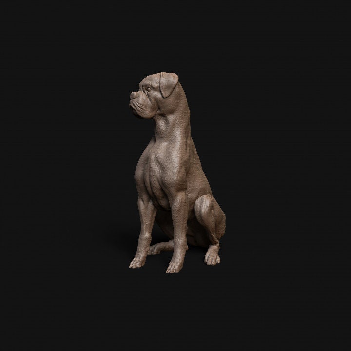 Boxer dog sitting - Dino and Dog Miniatures