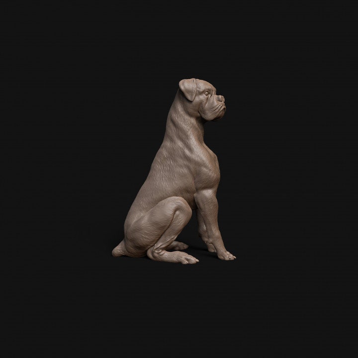 Boxer dog sitting - Dino and Dog Miniatures
