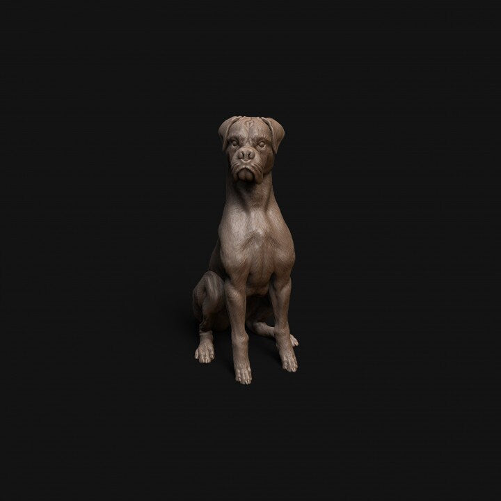 Boxer dog sitting - Dino and Dog Miniatures