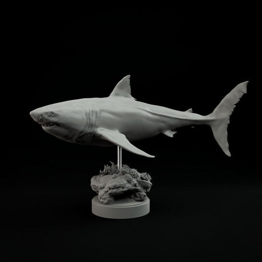 Carcharocles chubutensis - Dino and Dog Miniatures