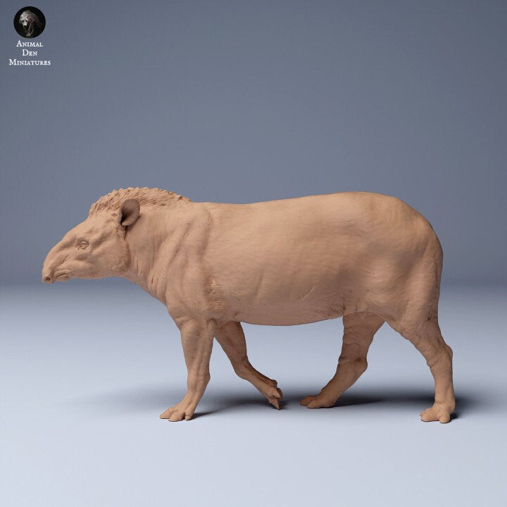 Brazilian tapir walking - UNPAINTED - Animal Den Miniatures