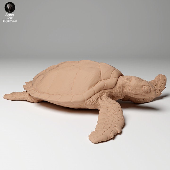 Hawksbill Sea Turtle (Eretmochelys imbricata) - UNPAINTED - Animal Den Miniatures