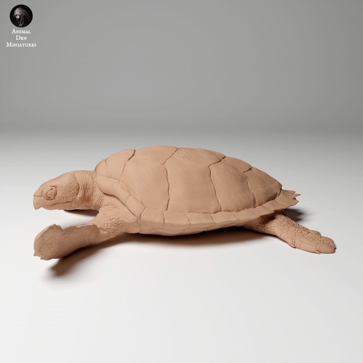 Hawksbill Sea Turtle (Eretmochelys imbricata) - UNPAINTED - Animal Den Miniatures