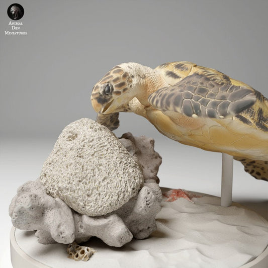 Hawksbill Sea Turtle Feed - UNPAINTED - Animal Den Miniatures