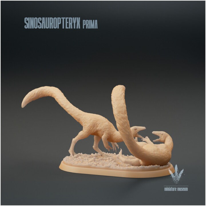 Sinosauropteryx Prima - Fighting - UNPAINTED - Miniature Museum