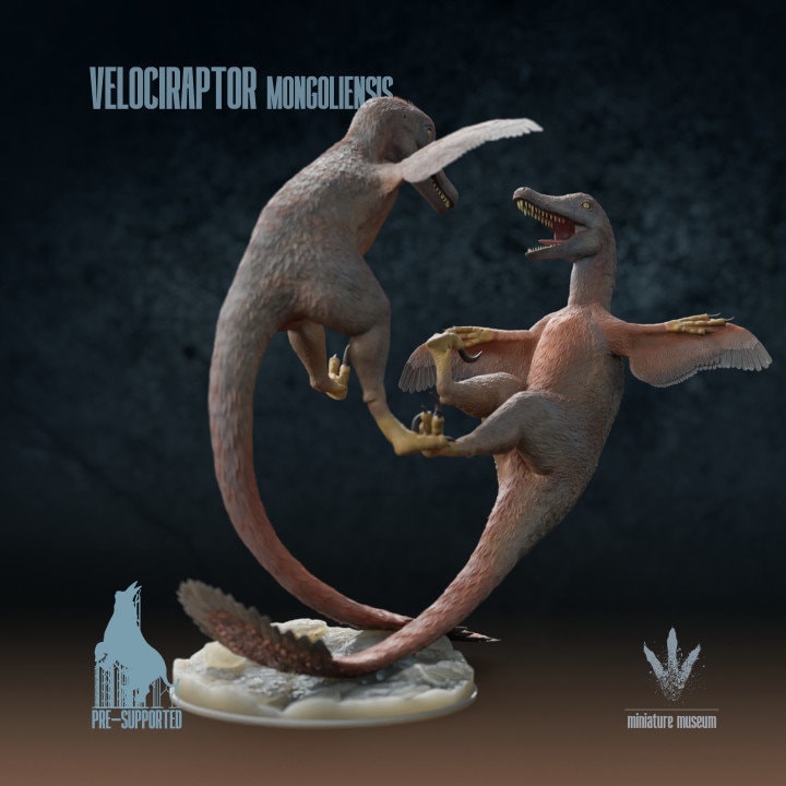 Velociraptor mongoliensis : Fighting - UNPAINTED - Miniature Museum