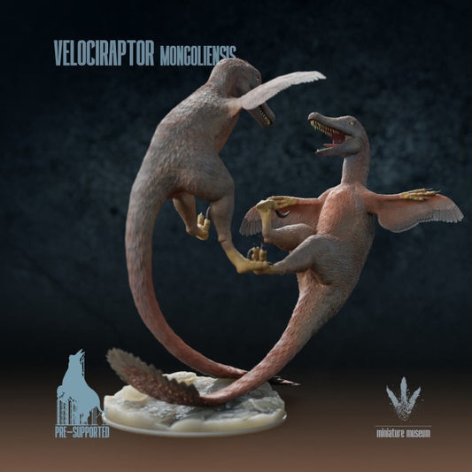 Velociraptor mongoliensis : Fighting - UNPAINTED - Miniature Museum