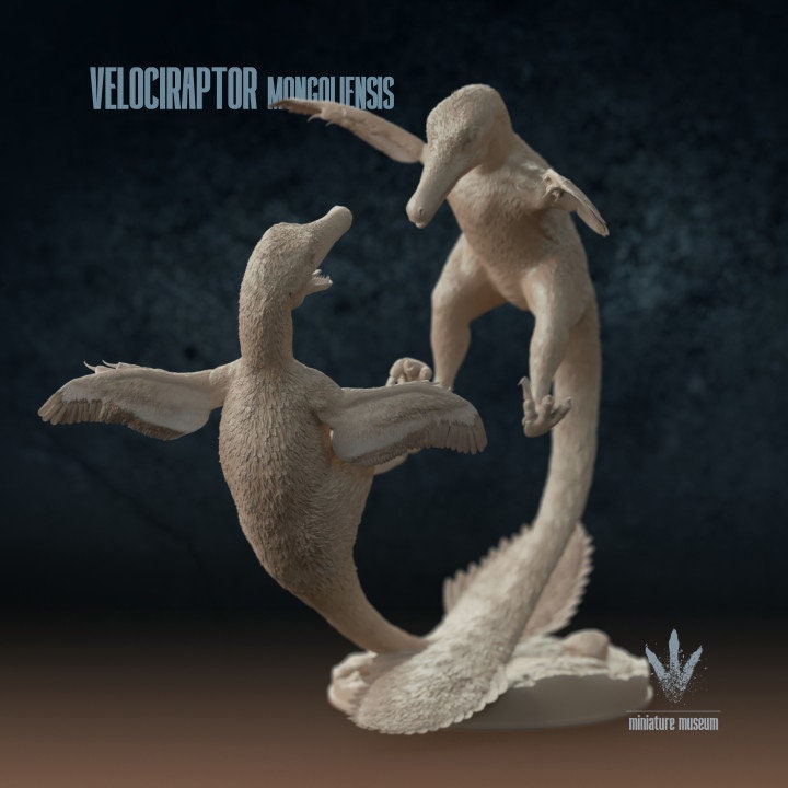 Velociraptor mongoliensis : Fighting - UNPAINTED - Miniature Museum