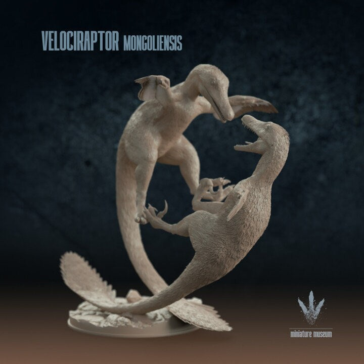 Velociraptor mongoliensis : Fighting - UNPAINTED - Miniature Museum