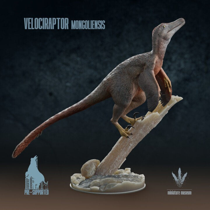 Velociraptor mongoliensis - UNPAINTED - Miniature Museum