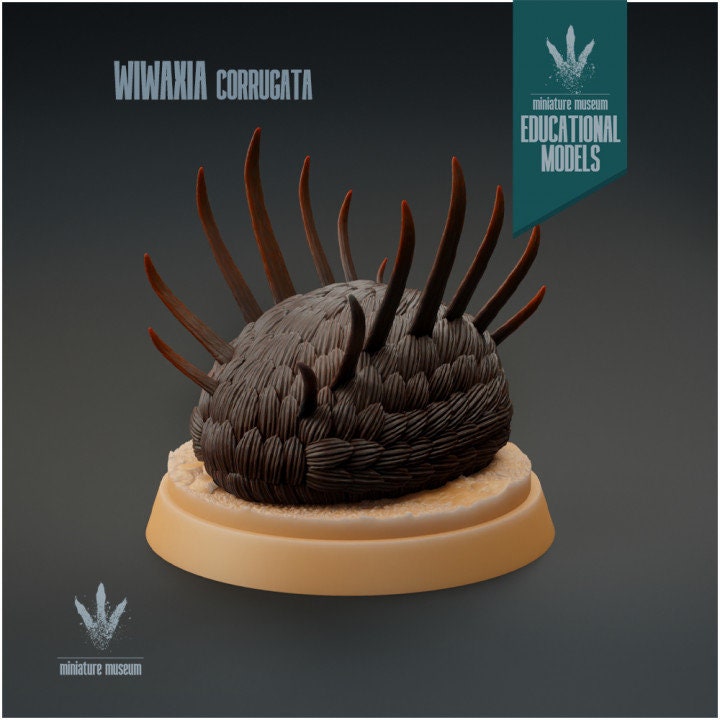 Wiwaxia corrugata - UNPAINTED - Miniature Museum