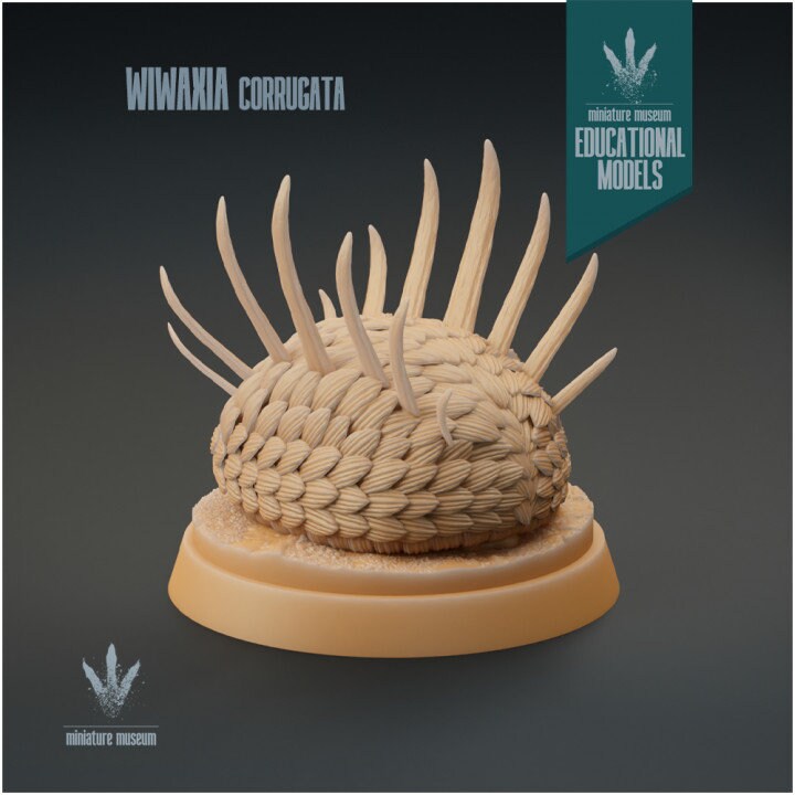 Wiwaxia corrugata - UNPAINTED - Miniature Museum