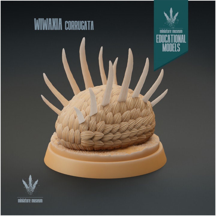 Wiwaxia corrugata - UNPAINTED - Miniature Museum