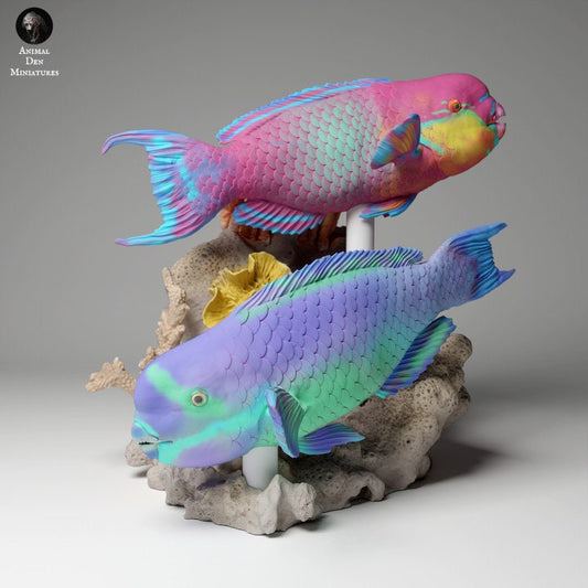 Steephead Parrotfish - UNPAINTED - Animal Den Miniatures