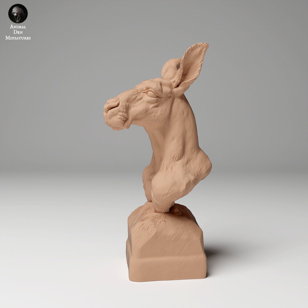 Red Kangaroo Bust - UNPAINTED - Animal Den Miniatures