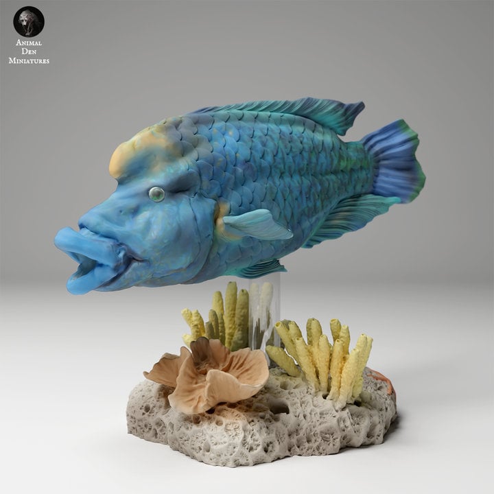 Napoleon or Humphead Wrasse - UNPAINTED - Animal Den Miniatures