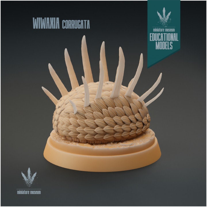 Wiwaxia corrugata - UNPAINTED - Miniature Museum